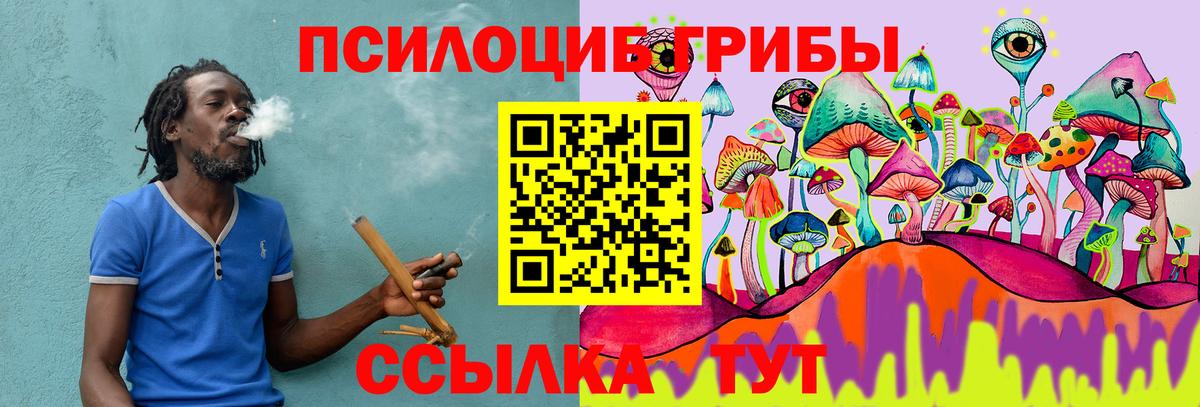 Галлюциногенные грибы Psilocybine cubensis Лянтор